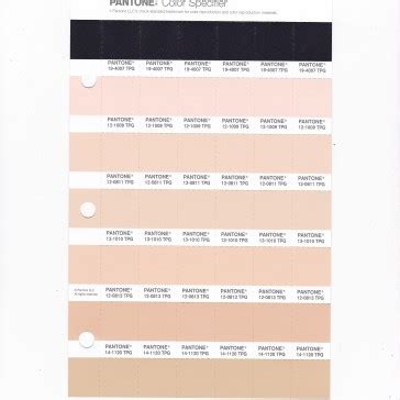 Pantone TPG Replacement Page Fashion Home Interiors Buy In India