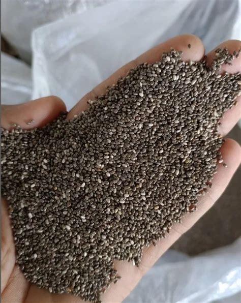 Black Chia Seeds Packaging Size Kg At Best Price In Hassan Id