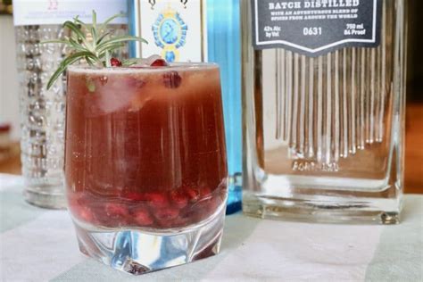 Pomegranate Gin Fizz Cocktail Drink Recipe Dobbernationloves