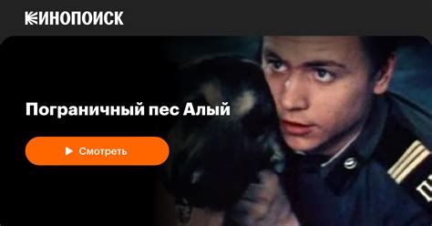 Пограничный пес Алый — Кинопоиск