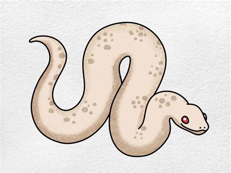 Albino Snake Drawing - HelloArtsy