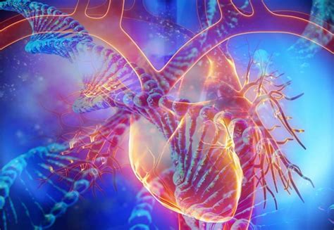 TTN (titin) gene mutation may not always predict heart disease - https://debuglies.com