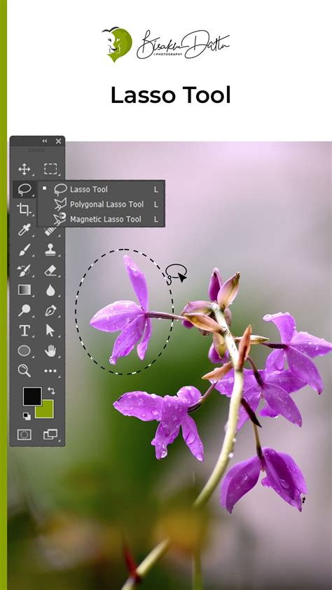 Photoshop Tutorial Polygonal Lasso Tool Shorts By Bisakhadatta Lassotoolps Learnphotoshop