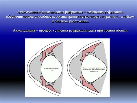 Оптическая система глаза. Физическая рефракция, клиническая рефракция ...