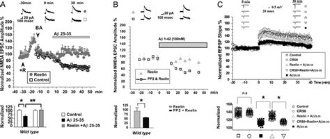 Reelin Rescues A Induced Suppression Of Nmda Currents In Mouse