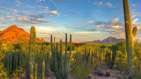 7 Desert Inspired Things To Do In Tempe Arizona