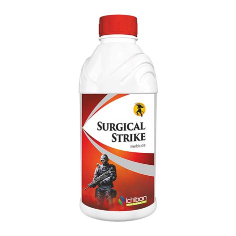 SURGICAL STRIKE – Ichiban