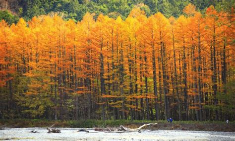 Hirayu Onsen A Historical Hot Spring Haven SNOW MONKEY RESORTS