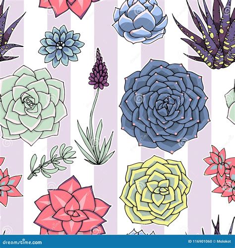 Succulents Seamless Striped Pattern Succulent Ornament With Sripes