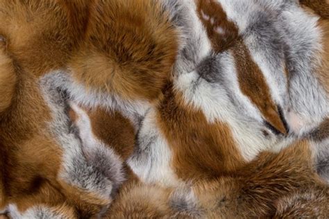 European Red Fox Fur Blanket Basic Style Paustian Furs