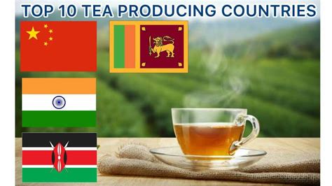 Top 10 Tea Producing Countries In The World YouTube