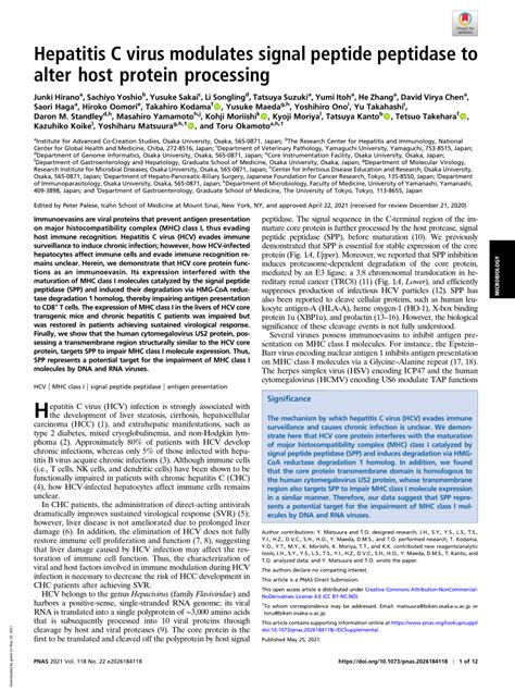 Pdf Hepatitis C Virus Modulates Signal Peptide Peptidase To Alter