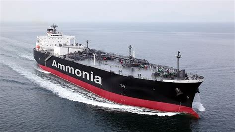 Ammonia Hype Builds In Shipping Market Lloyds List