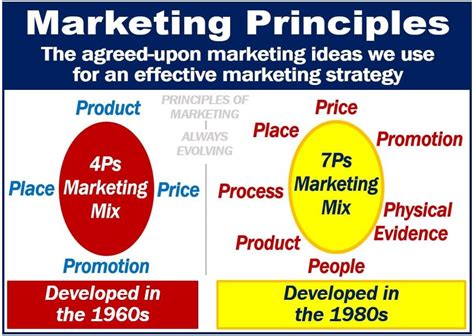 What Are Marketing Principles Definition And Examples