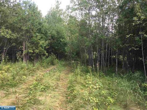 10 Acres In Saint Louis County Minnesota