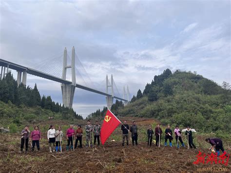 宜章县赤石乡：田长齐发力 复种有活力 郴州 新湖南