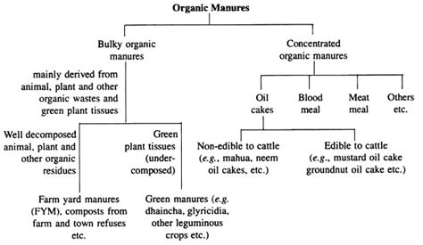 Classification of organic fertilizer/organic manure/manure - Basic Agricultural Study