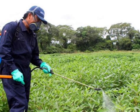 Métodos De Control De Plagas Agrícolas Plagas Agrícolas Y Urbanas