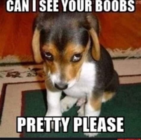 Can See Your Boobs Please Ifunny