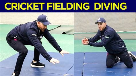 Diving Catches How To Dive In Cricket Safely And Correctly Cricket