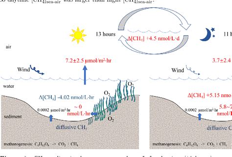 Figure 6 From Dynamics Of Diurnal Methane Emission From Seagrass Meadow