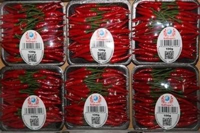 Product Chillies Rawit C Ng Ty Tnhh S N Xu T Th Ng M I D Ch V R