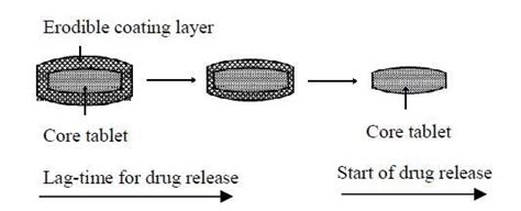 Schematic Diagram Of Drug Delivery With Erodible Coating Layer