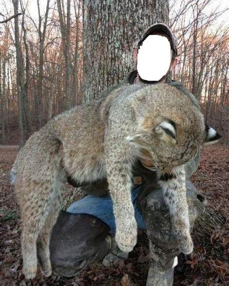 Virginia’s Biggest Bobcat? - Big Deer