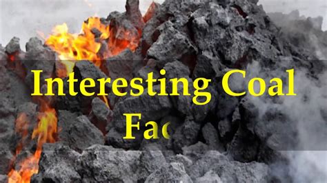 Interesting Coal Facts Youtube