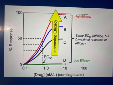 Drug Receptor Interactions Flashcards Quizlet