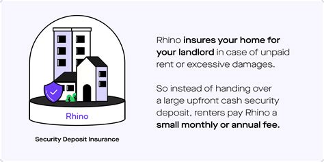 What products does Rhino offer? | Rhino Blog