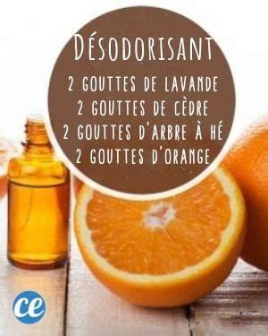 Recettes Pour Diffuseur D Huiles Essentielles Dont Vous Ne Pourrez