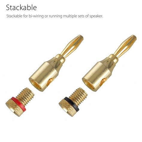 X Mm Banana Plugs Gold Plated Musical Audio Speaker Cable Wire