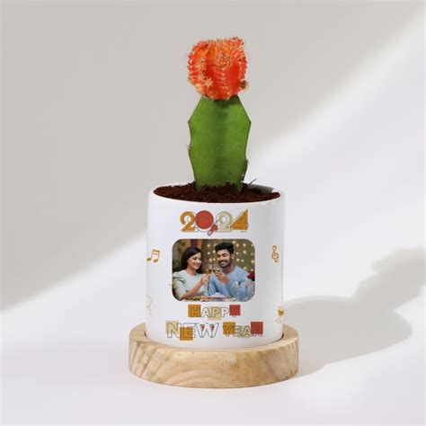 Buy Send Happy New Year Moon Cactus Plant With Personalized Pot Online