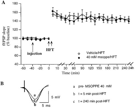 LTP Induction Does Not Depend On Activation Of Group 2 MGluRs A The