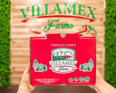 Persian Lime Villamex Farms