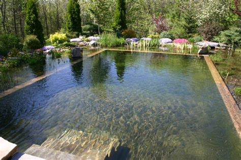 Pierce Lanucha Natural Swimming Pool Traditional Pool Portland