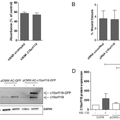 Role Of C10orf118 In Mcf 7 Cell Function A Mtt Assay Of Mcf 7 Cells Download Scientific