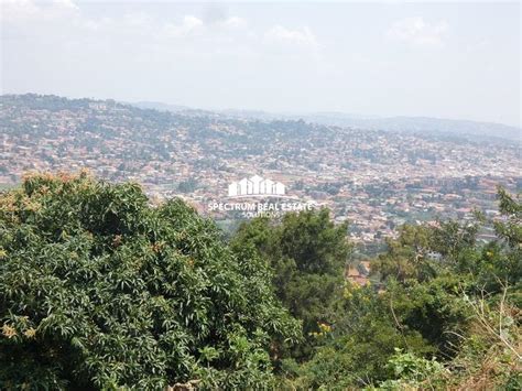 50 Decimals For Sale In Muyenga Spectrum Real Estate Solutions