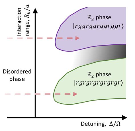 Exploring Many Body Dynamics On A Rydberg Quantum Simulator