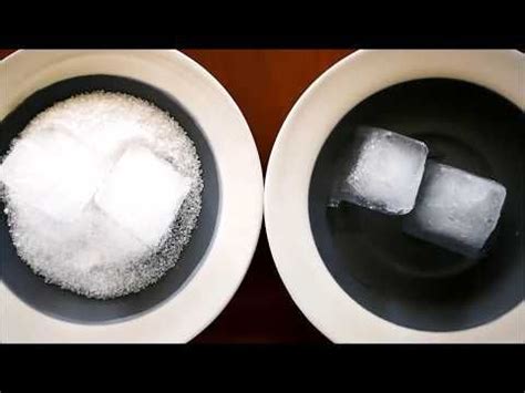 Salt Melting Ice Experiment