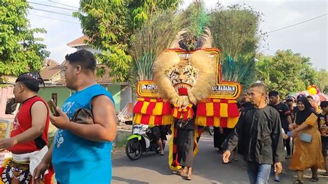 Keren Banget Lurr Arak Arakan Dadak Merak Reog Ponorogo Gegerkan