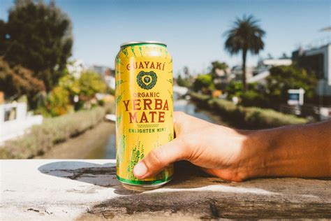 Guayaki Yerba Mate Enlighten Mint Flavor Case Of 12 Cans Guayakí