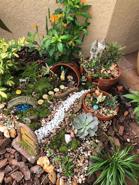 Best Plants For Fairy Gardens Cool Product Review Articles Packages And Acquiring Assistance