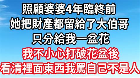 照顧婆婆4年，臨終前，她把財產都留給了大伯哥，只分給我一盆花，我不小心打破花盆後，看清裡面東西我罵自己不是人 Youtube