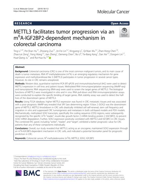 Pdf Mettl Facilitates Tumor Progression Via An M A Igf Bp Dependent