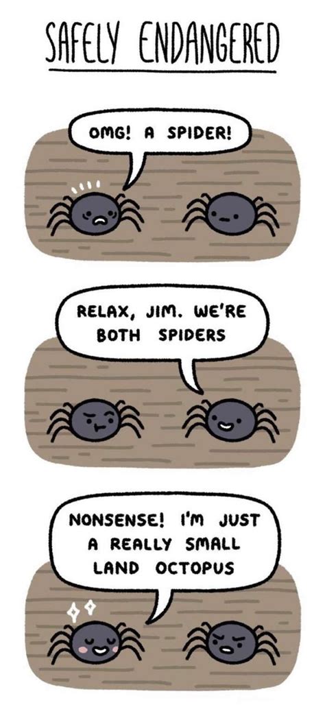 Funny Spider Comic