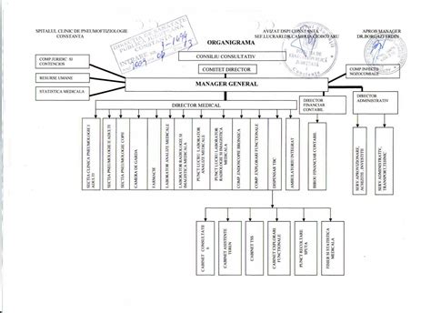 Organigrama Si Structura Organizatorica