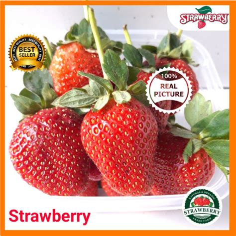 Jual Buah Strawberry Fresh 500gr Buah Segar Strawberry Stroberi