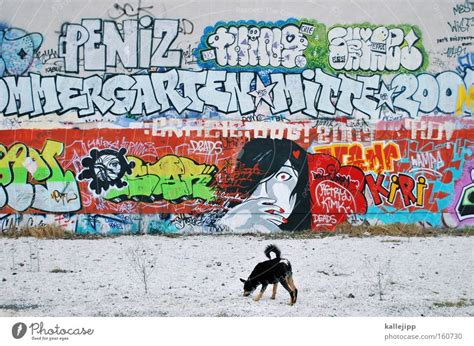 monkey Graffiti Art Town - a Royalty Free Stock Photo from Photocase